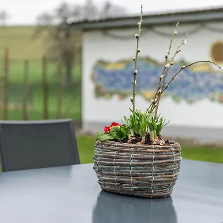Haus Buche Apartment *