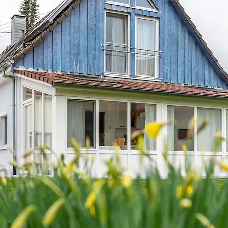 Apartment Haus Buche Hodingen