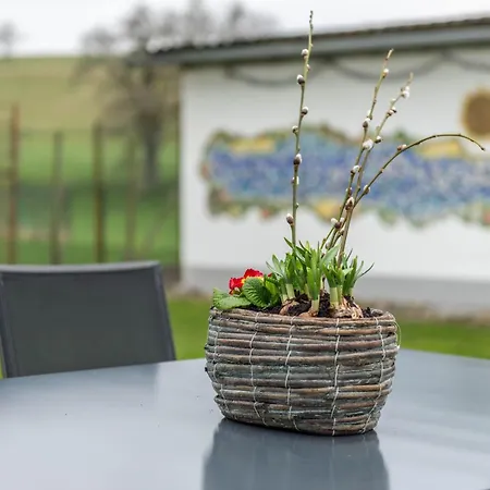 Haus Buche * Hodingen