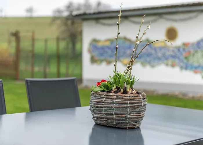 Haus Buche Διαμέρισμα *